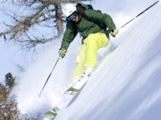 ski school dorfgastein, bad hofgastein, bad gastein, snowsport school gastein, winter sports school gastein, kids park, gasti snowpark, ski school for children, ski gastein, gastein valley, snowboard school, freeride gastein