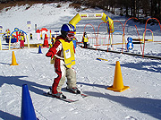 Skischule Dorfgastein, Bad Hofgastein, Bad Gastein, Schneesportschule Gastein, Wintersportschule Gastein, Kinderland, Gasti Schneepark, Kinderskischule, Ski Gastein, Gasteinertal, Snowboardschule, Freeride Gastein