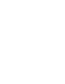 Schischule Dorfgastein